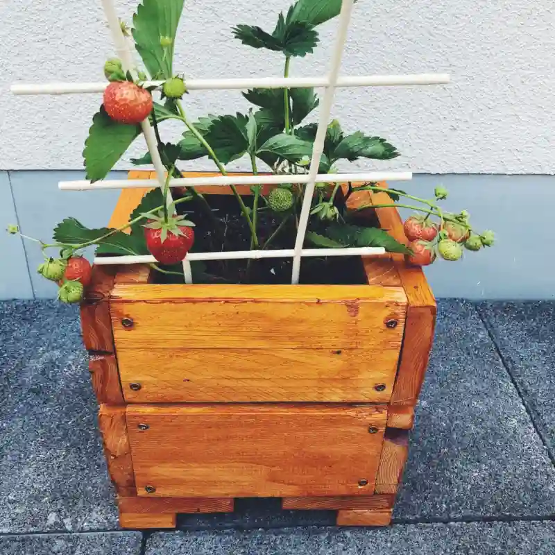 Die richtigen Blumenkästen und Pflanzkübel für den Balkon wählen - keiner Pflanzkübel aus Holz