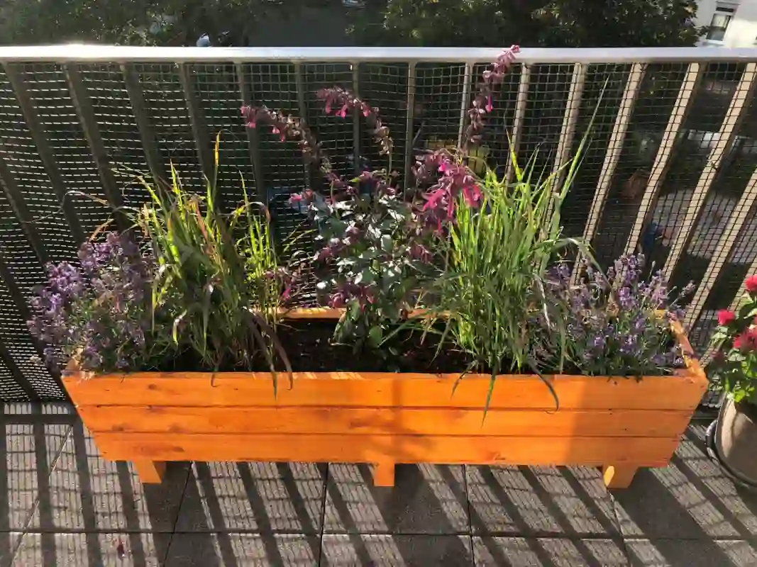 Balkon Blumenkasten bepflanzen - Grosser Blumenkübel aus mit Lavendel bepflanzt