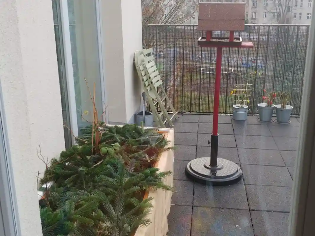 Pflanzen im Blumenkasten auf dem Balkon überwintern - Balkon für den Winter vorbereitet
