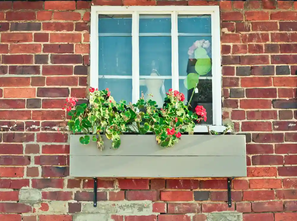 Blumenkasten Fensterbank mit Geranien